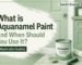 Aquanamel Paint